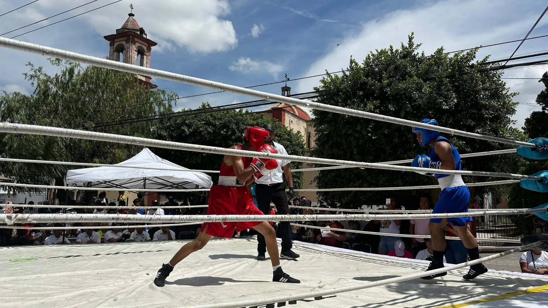 Torneo de Box de los Barrios en El Saucito (3)